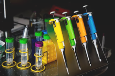Chemistry and Chemical Biology Faculty Scholarship Fund